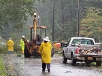 Storm damage fallen trees